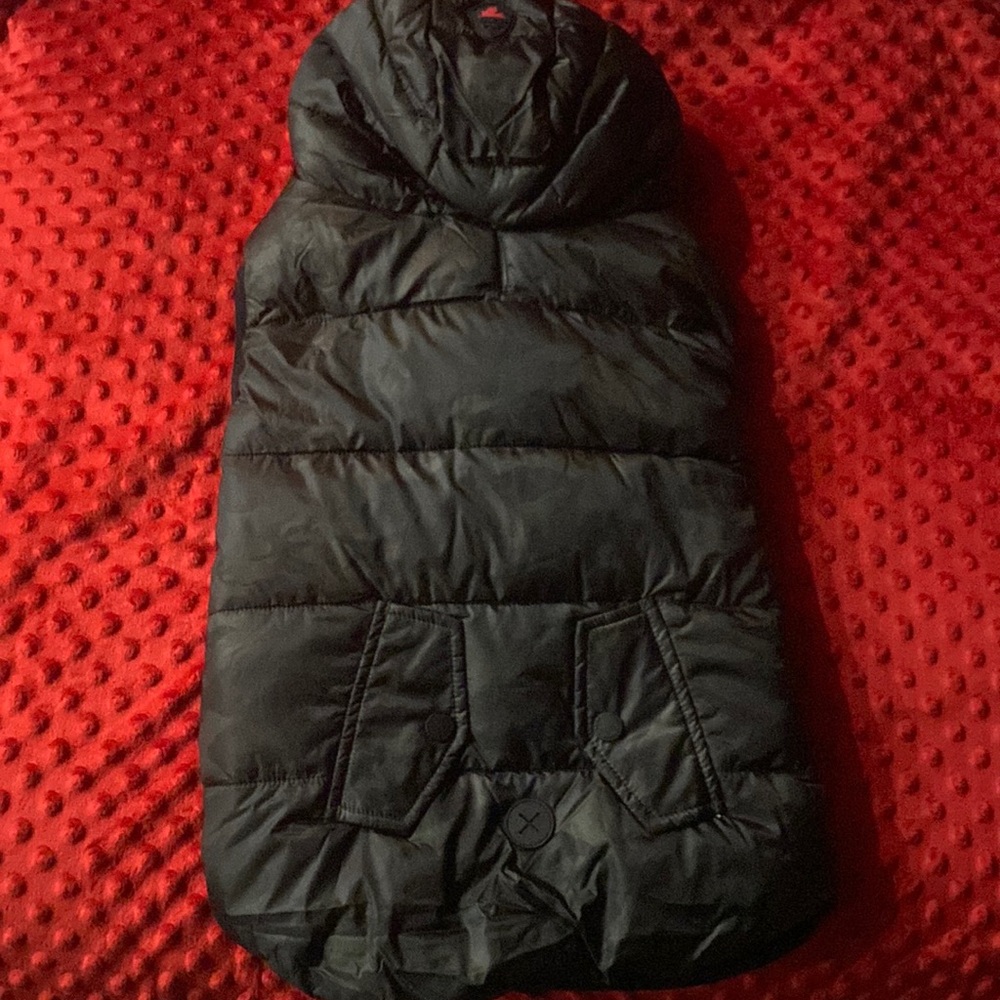 Dog coat